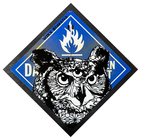 Voxx Romana • All Seeing Owl