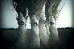 Amara Petrov No. 50 • Gil Cope