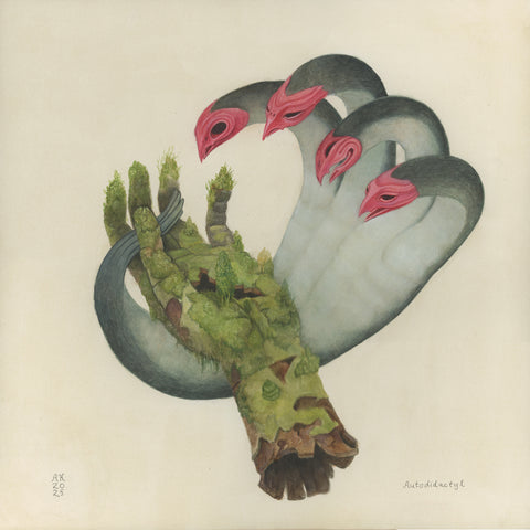 Alex Kuno • Autodidactyl