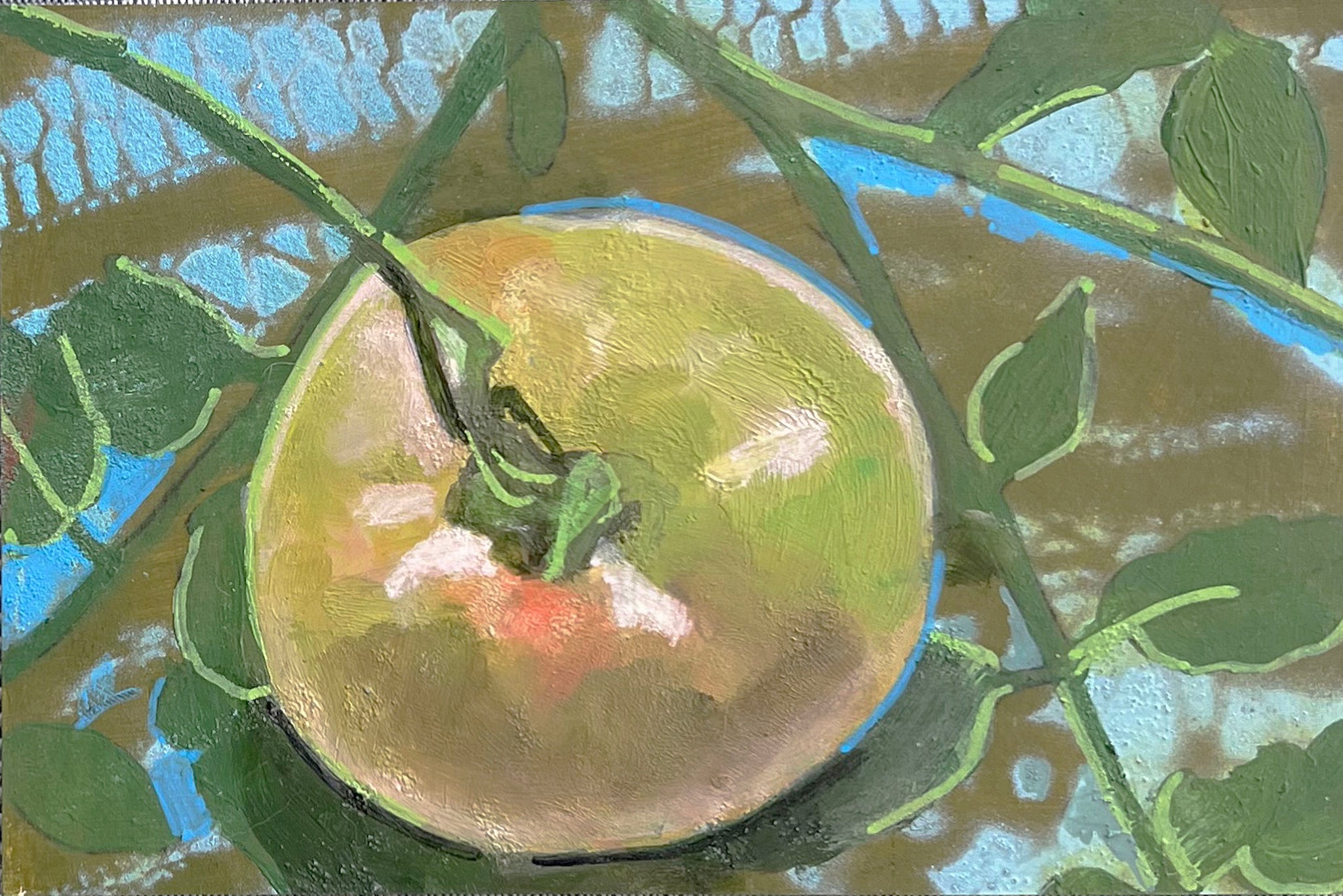 Barb Welty • Tomatoes 2