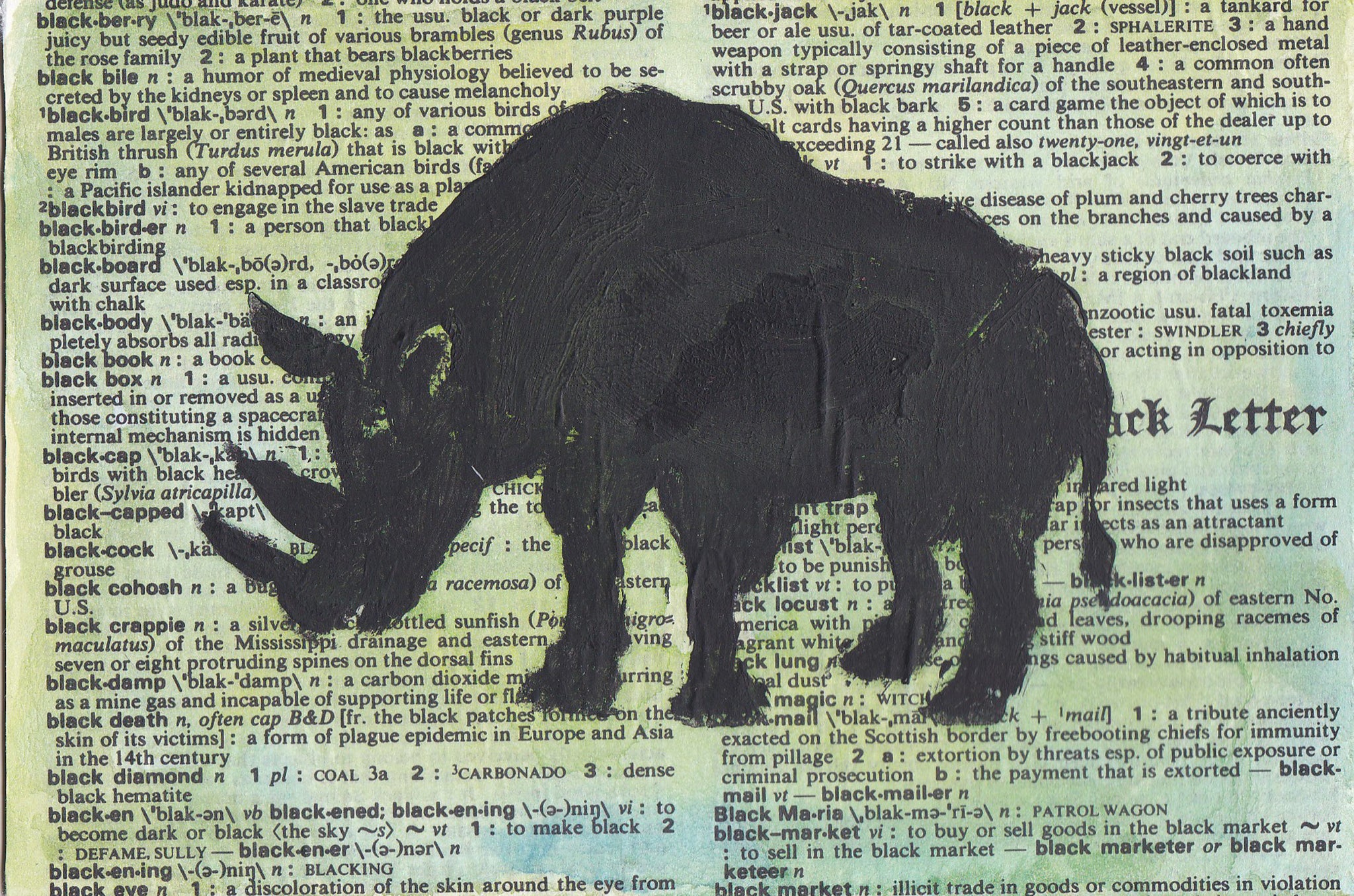 Black Rhino • Charlotte Seekamp