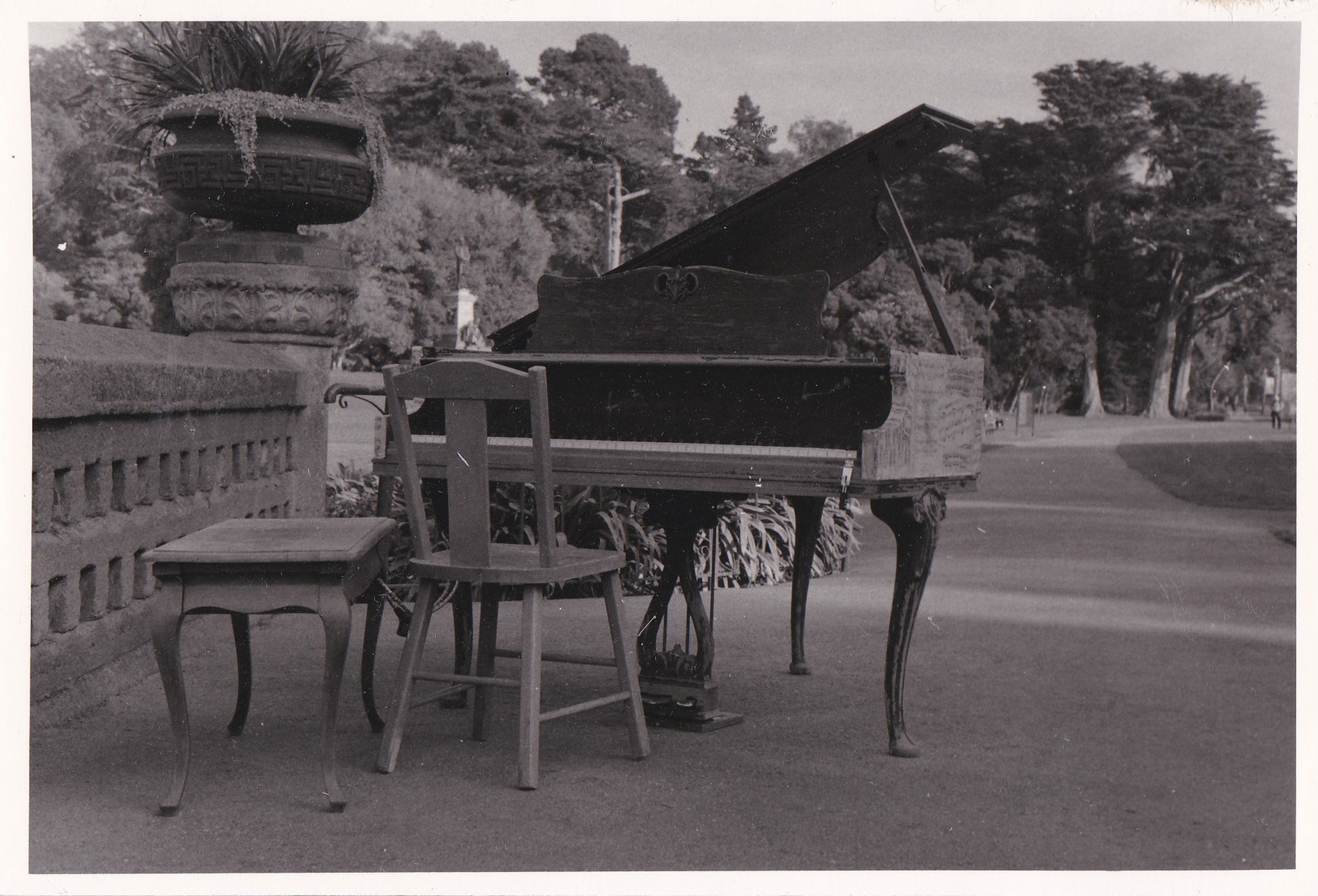 Piano in the Park • Charlotte Seekamp