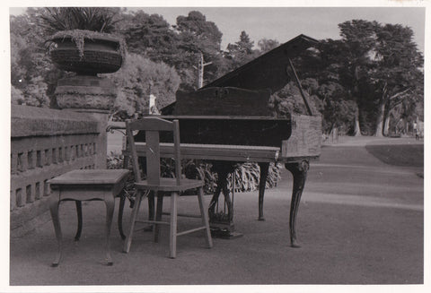 Charlotte Seekamp • Piano in the Park