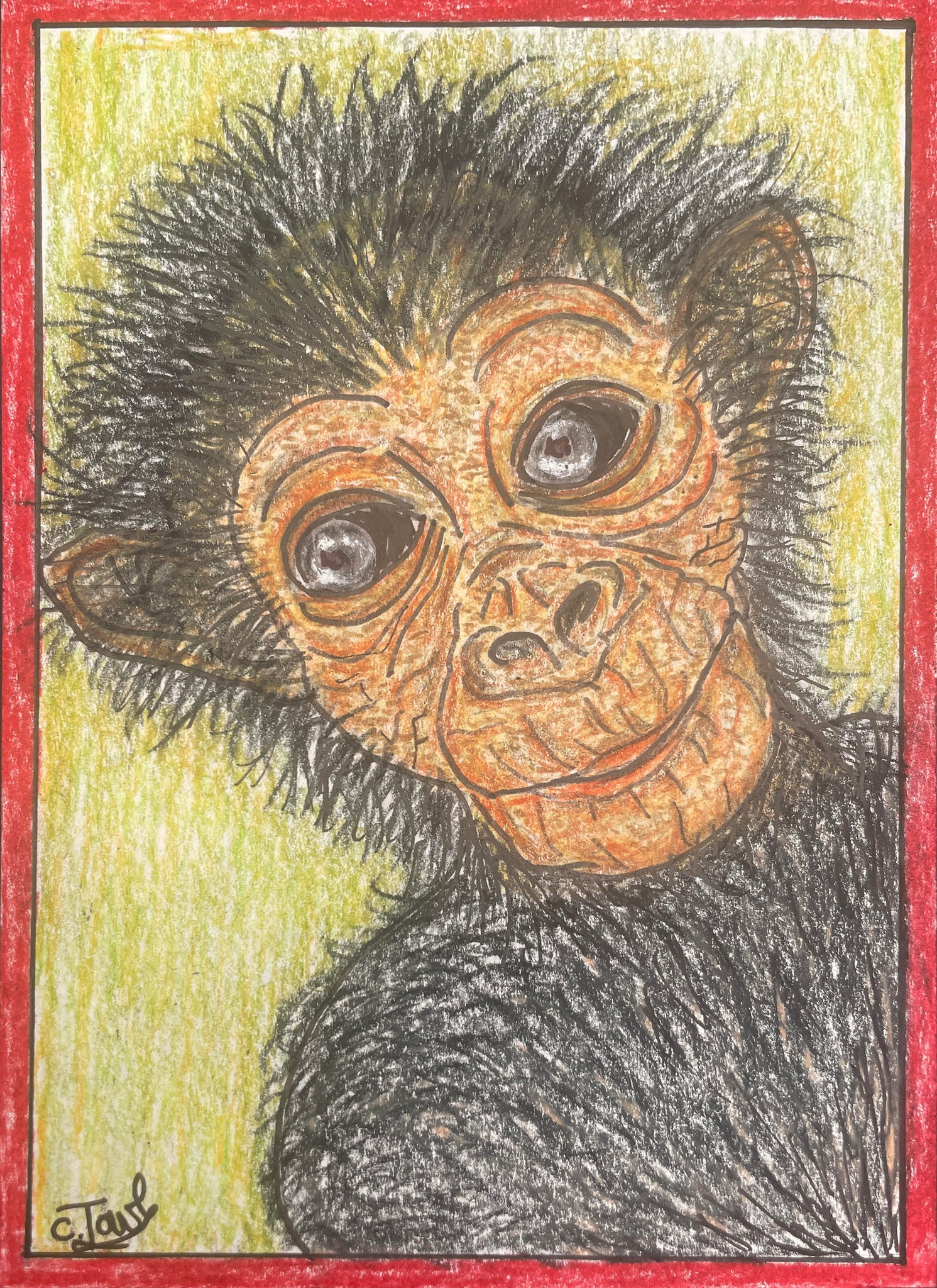 Chris Towle • Baby Chimp