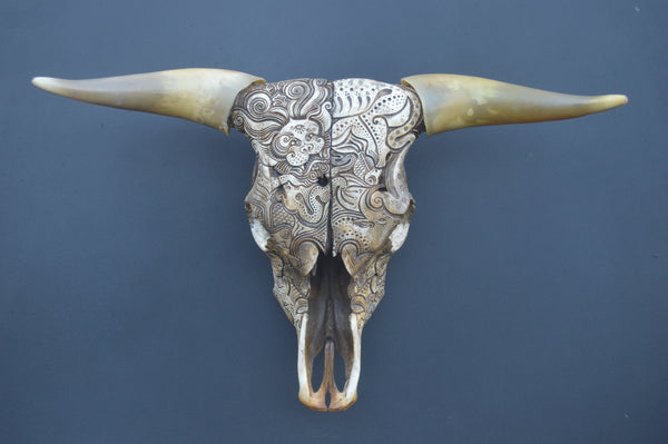 Jason Borders • Ochre Bull