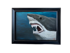 Eli Lewis • Count Sharkula