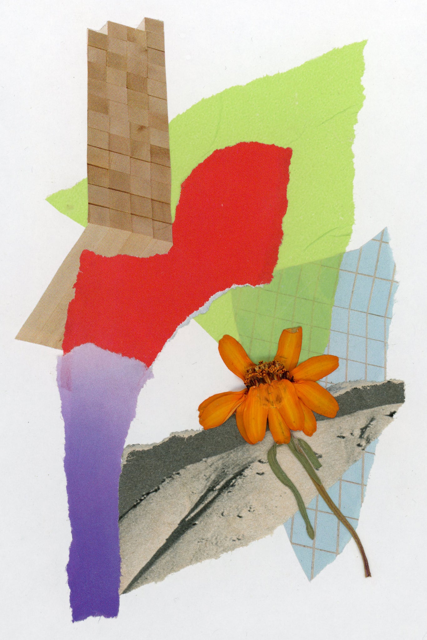 Elise Guillen • flower study no 4