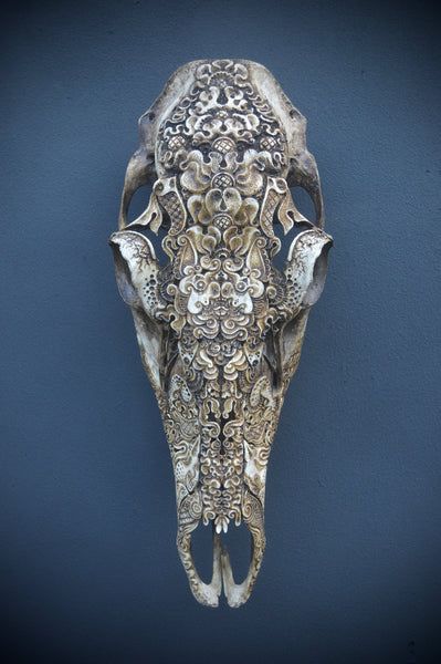 Jason Borders • Elk Cow (bat)