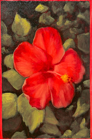 Aaron Schmitz • Morning Bloom