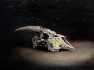 Goat Skull • Natalie Erickson