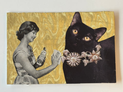 A Kitty • Be The Cat