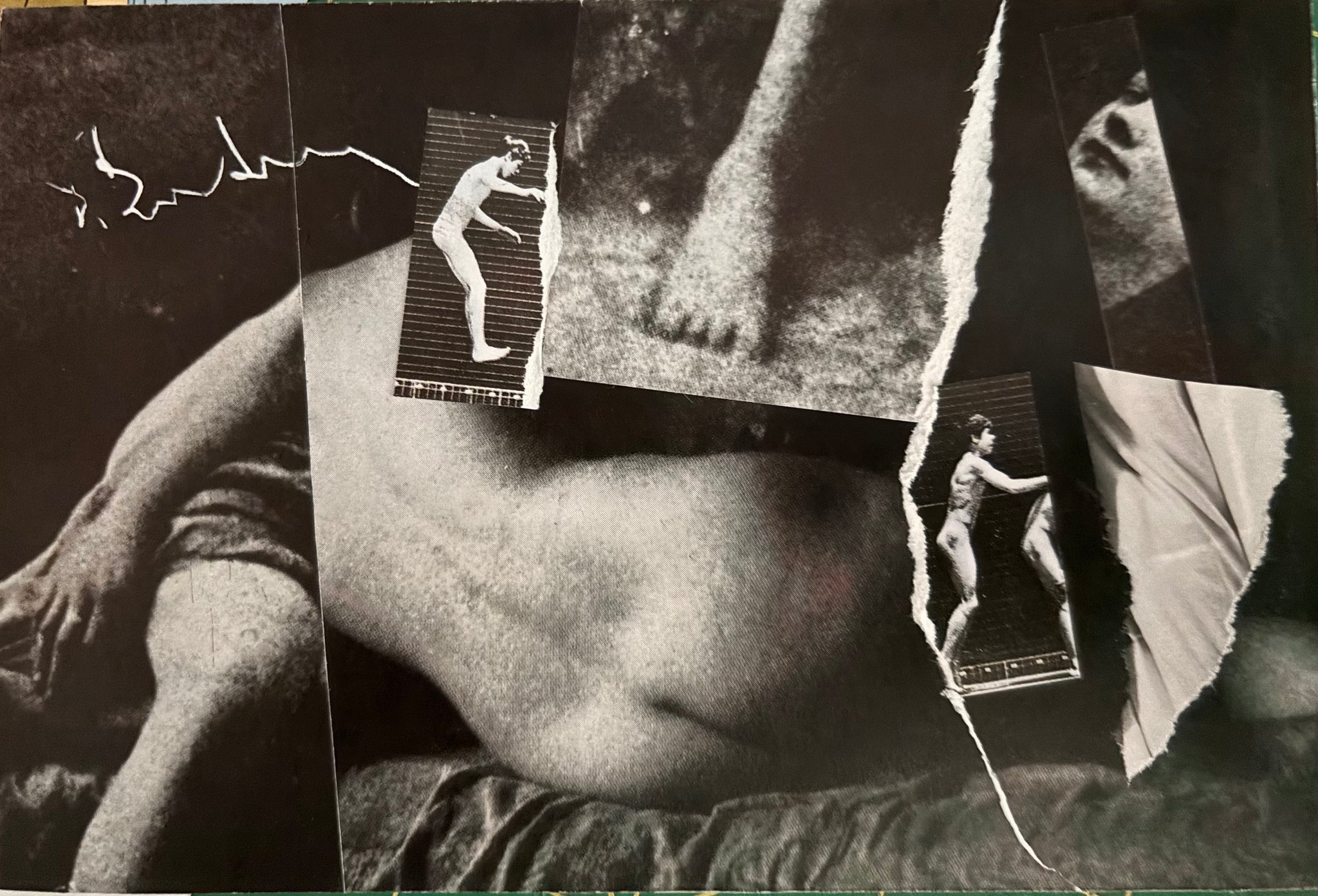 Kay Wolverton Ito • Study in Black and White