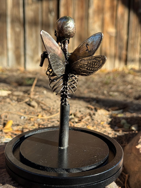 Stephan Webb • Tooth Collector