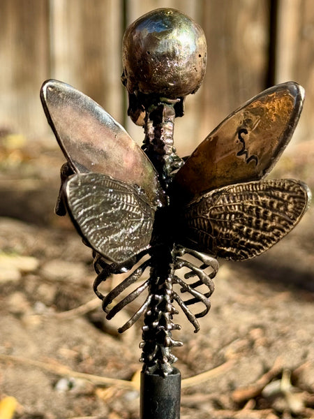 Stephan Webb • Tooth Collector