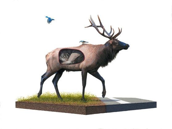 Incubate (Print) • Josh Keyes