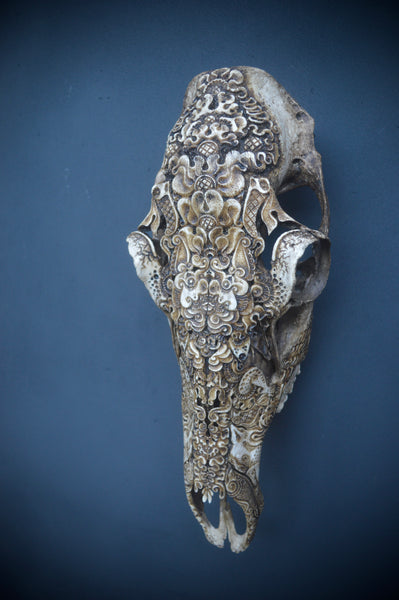 Jason Borders • Elk Cow (bat)