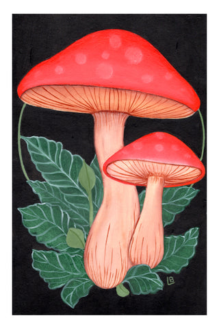 Lea Barozzi • PNW Mushrooms •