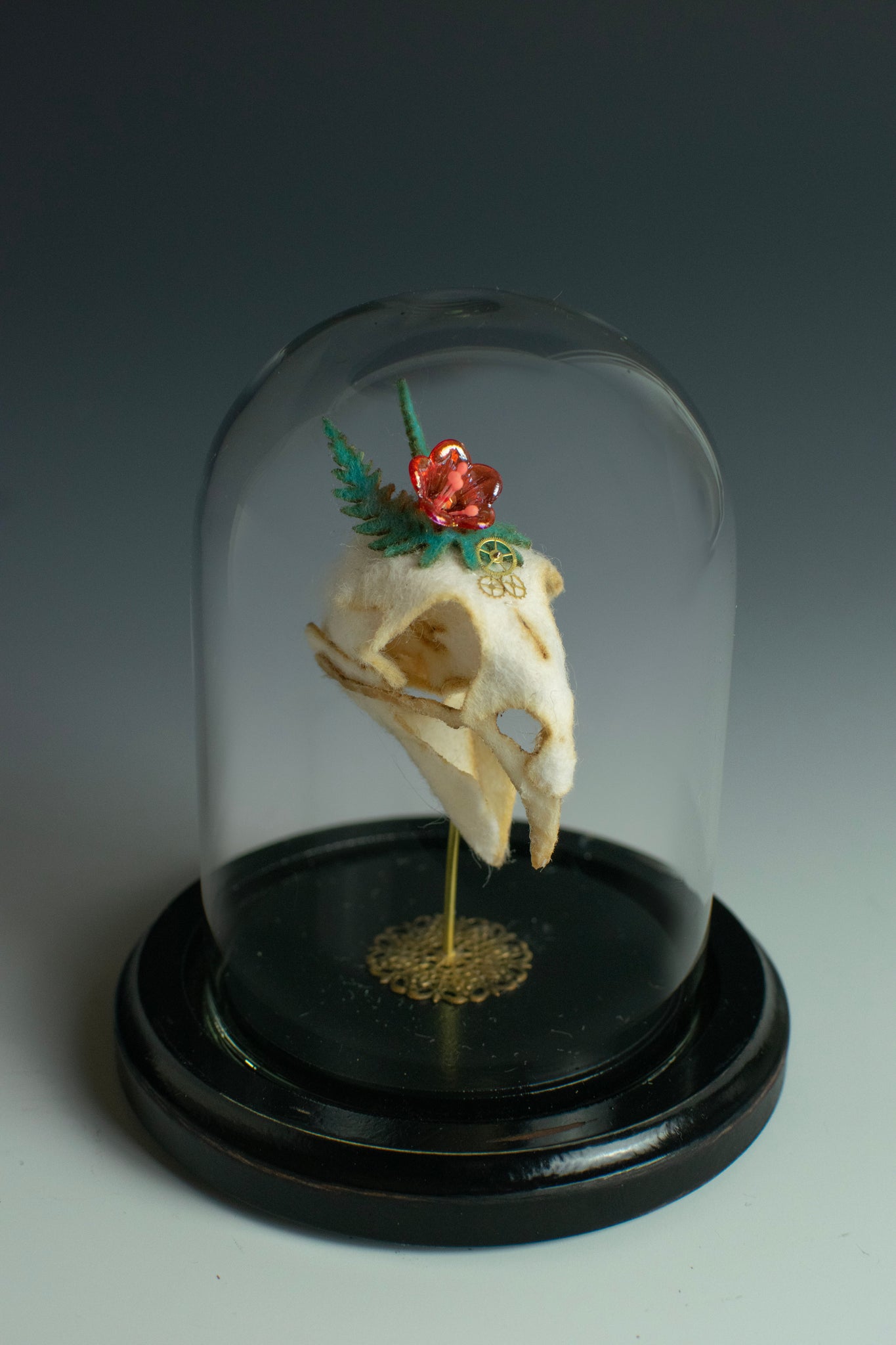 Lana Crooks • Fern - Finch