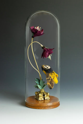Lana Crooks • Hellebore - Summer