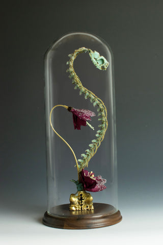 Lana Crooks • Hellebore - Winter