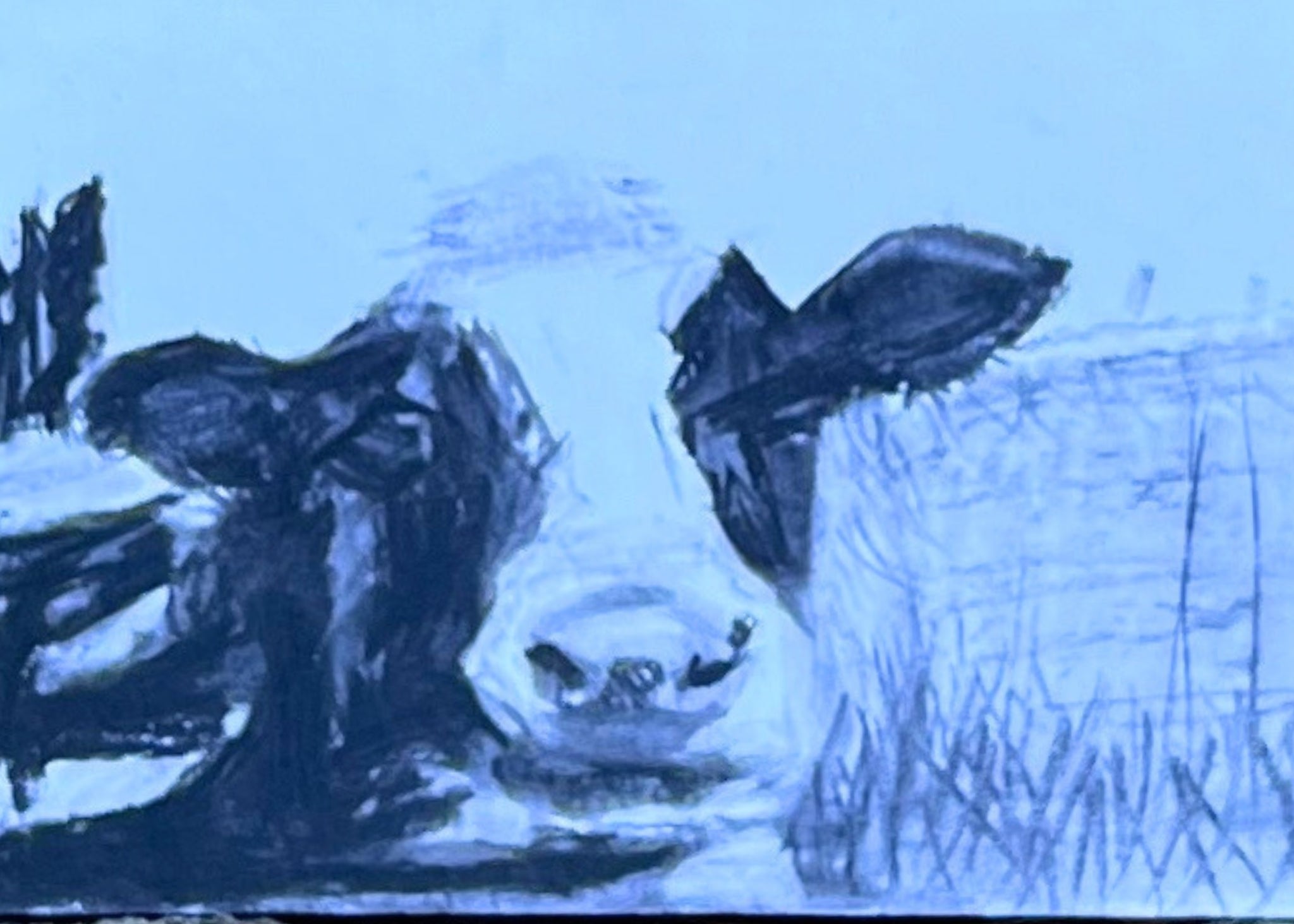 Cow • Emer McCourt
