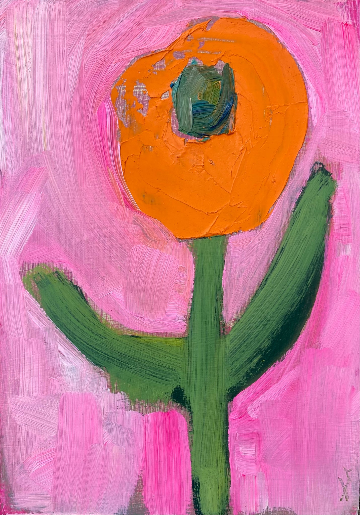 Lisa Laser • Rainbows