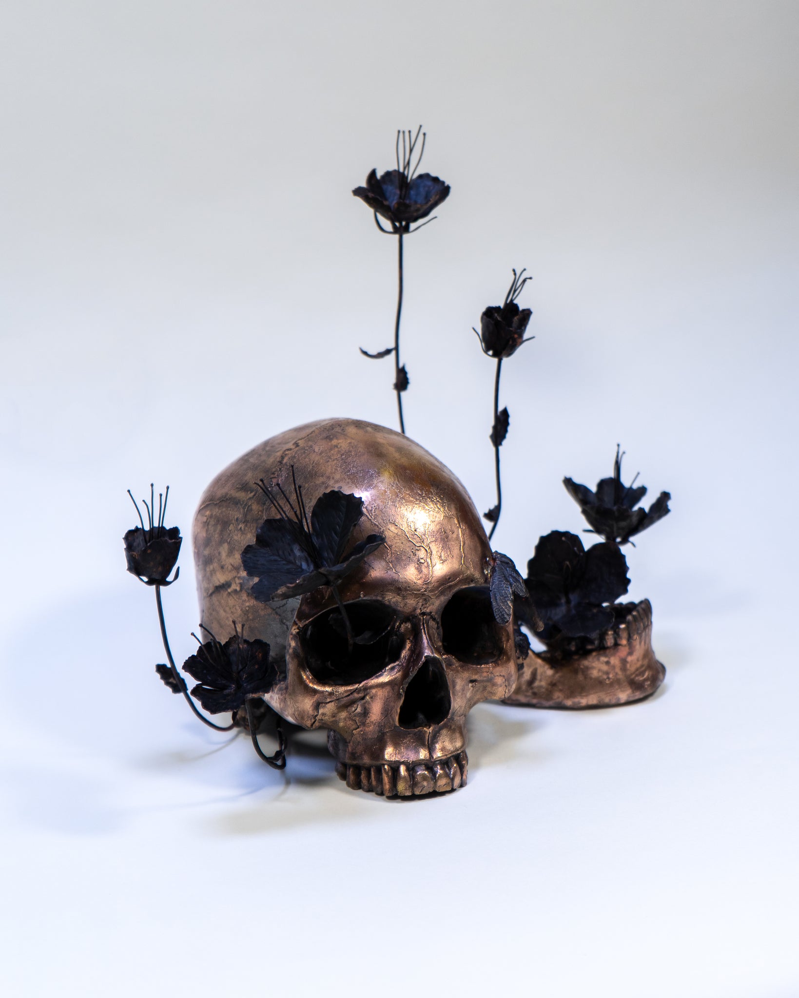 Ross Takahashi • Occipital Blooms – Brassworks Gallery