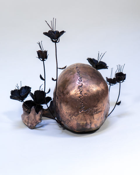 Ross Takahashi • Occipital Blooms