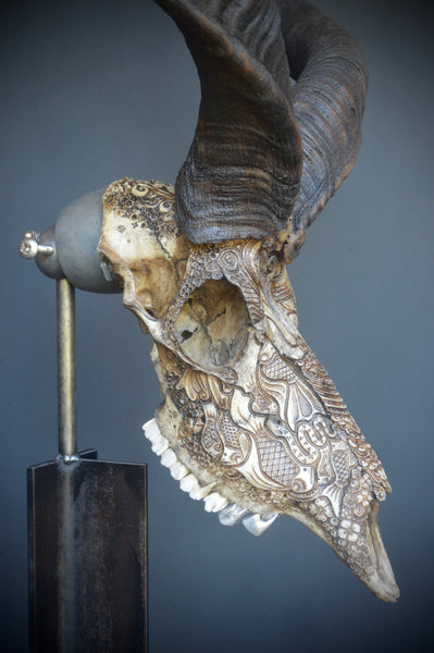Jason Borders • Untitled (kudu)