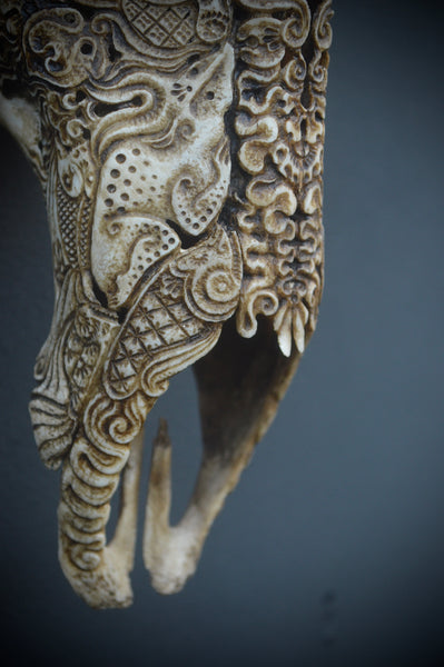 Jason Borders • Elk Cow (bat)