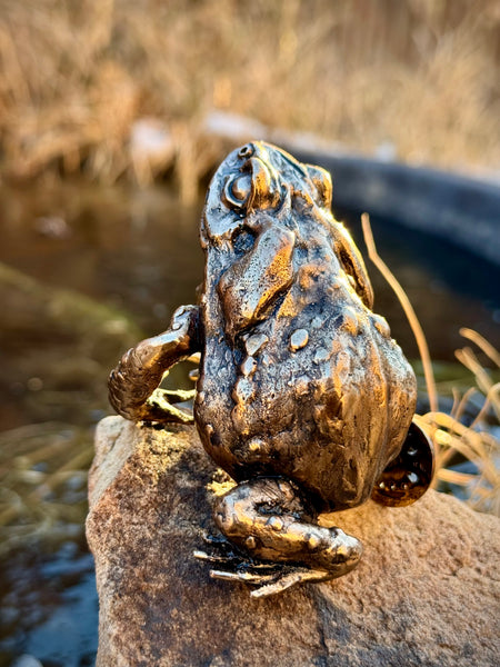 Stephen Webb • Toad