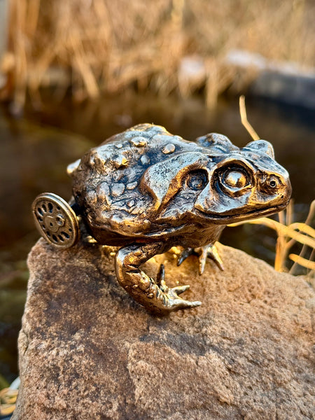 Stephen Webb • Toad