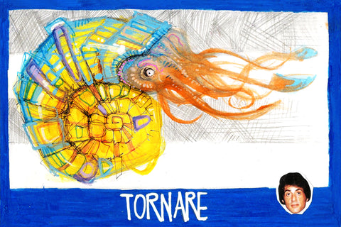 Attila Schwanz • TORNARE