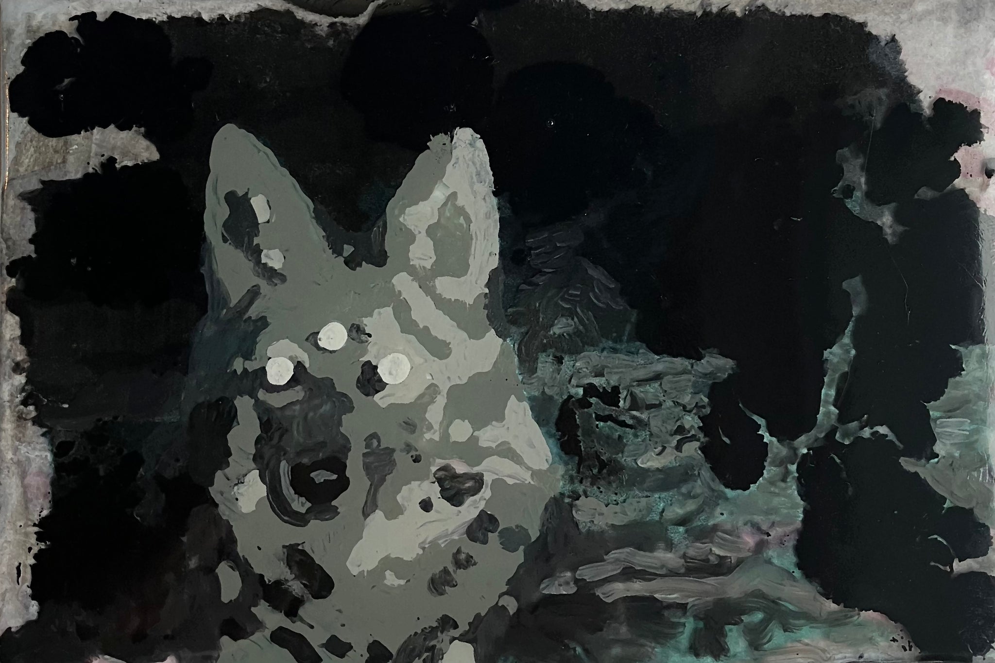 Trail Camera Space Coyote #1 • Ashley Anderson