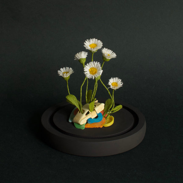 Alexandra Lukaschewitz • Urban Botanicals IX