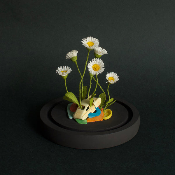 Alexandra Lukaschewitz • Urban Botanicals IX