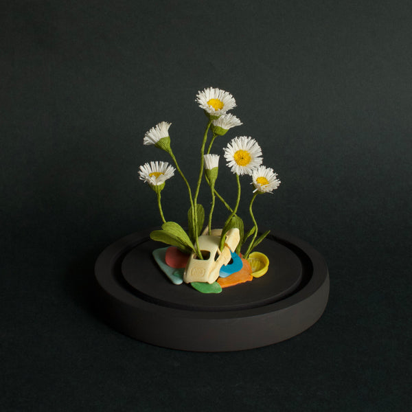 Alexandra Lukaschewitz • Urban Botanicals IX