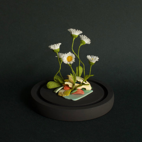 Alexandra Lukaschewitz • Urban Botanicals IX