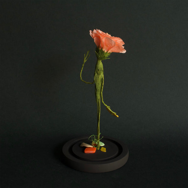 Alexandra Lukaschewitz • Urban Botanicals VIII