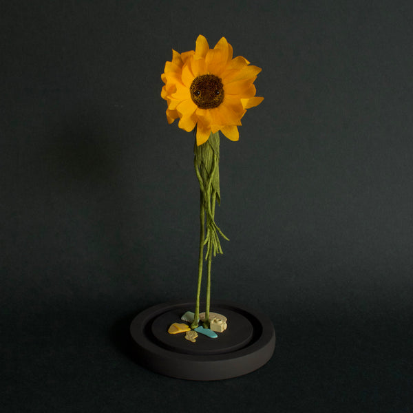 Alexandra Lukaschewitz • Urban Botanicals VII