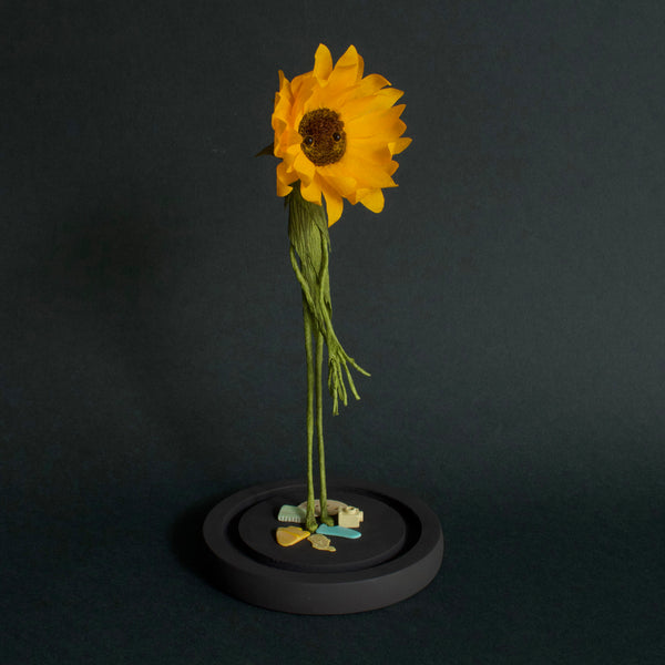 Alexandra Lukaschewitz • Urban Botanicals VII