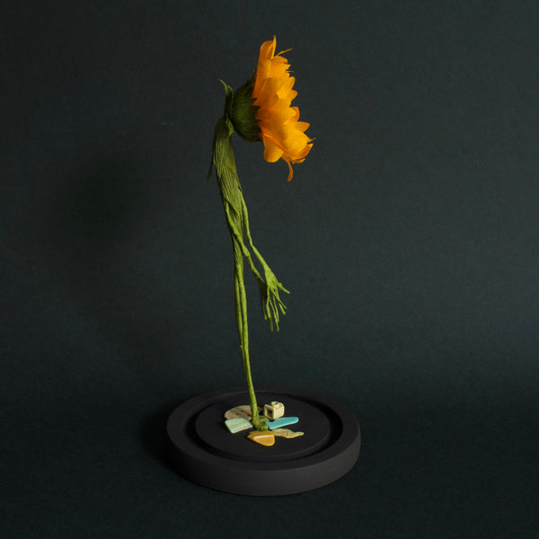 Alexandra Lukaschewitz • Urban Botanicals VII