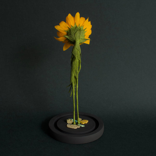 Alexandra Lukaschewitz • Urban Botanicals VII