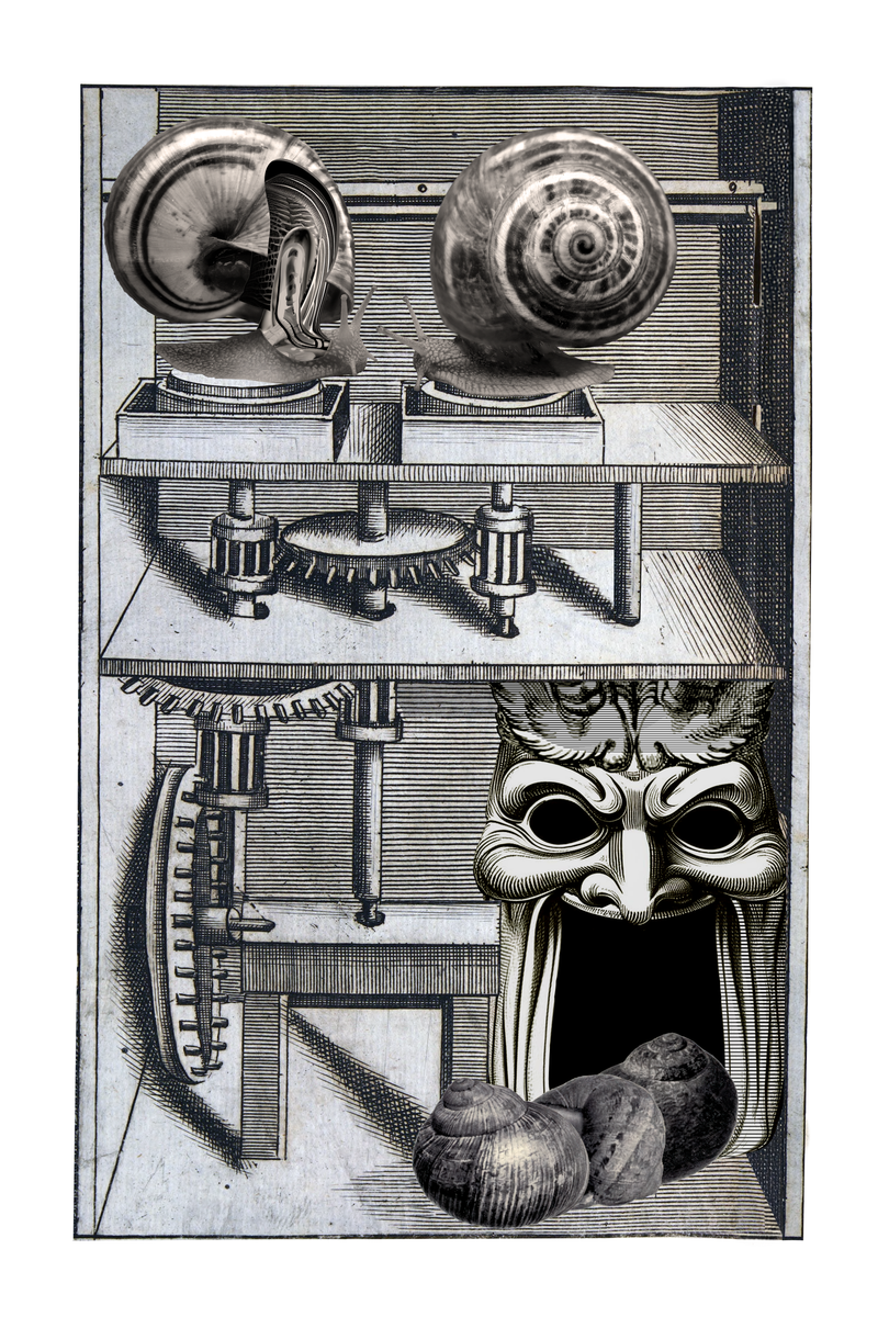 Colin Raff • Snail Garden no. 1 – Brassworks Gallery