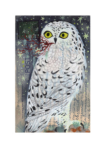 Snowy Owl • Diana Sudyka
