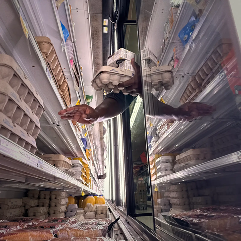 Jason Okamoto •  EGGS