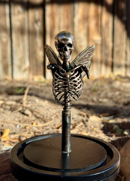 Stephan Webb • Tooth Collector